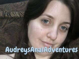 AudreysAnalAdventures