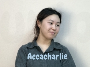 Accacharlie