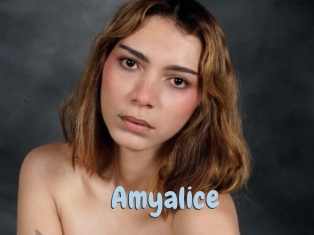 Amyalice