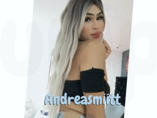 Andreasmiitt