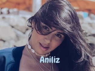 Aniliz