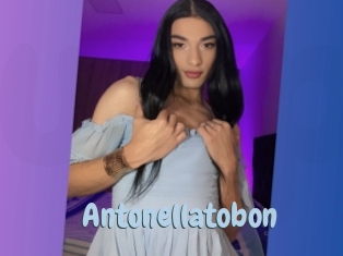 Antonellatobon