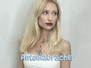 Antoniabracher