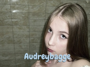 Audreybagge