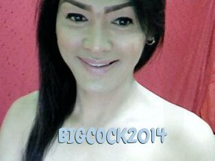 BIGCOCK2014