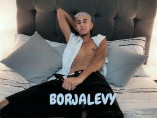 BORJALEVY