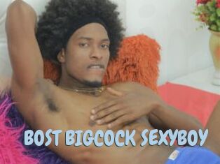 BOST_BIGCOCK_SEXYBOY