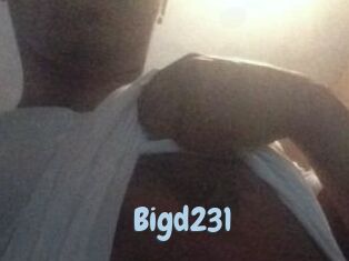 Bigd231