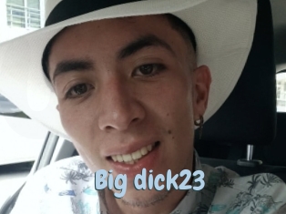 Big_dick23