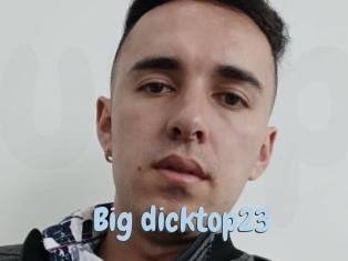 Big_dicktop23