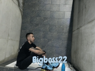 Bigboss22