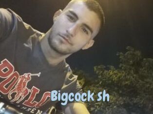 Bigcock_sh