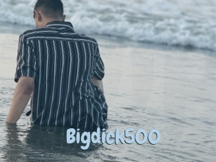 Bigdick500