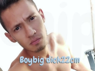 Boybig_dick22cm