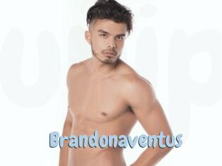 Brandonaventus