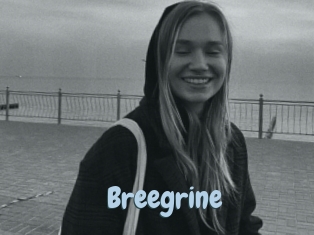 Breegrine