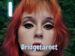 Bridgetarnet