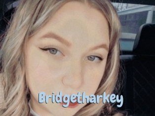 Bridgetharkey