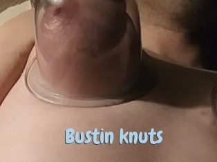 Bustin_knuts