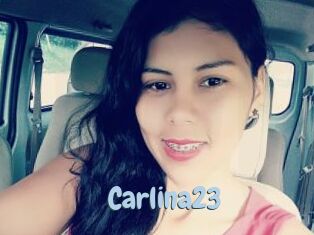 Carlina23