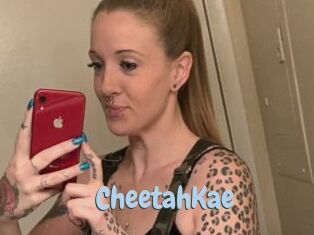 CheetahKae