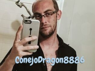 ConejoDragon8886