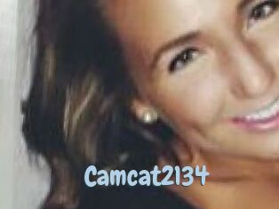 Camcat2134