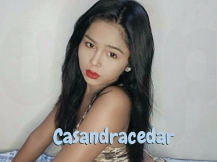 Casandracedar