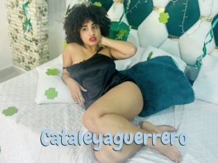 Cataleyaguerrero