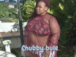 Chubby_bule