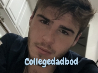 Collegedadbod