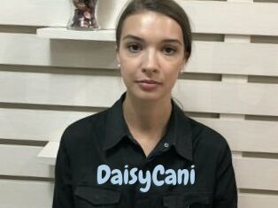 DaisyCani