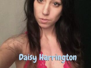 Daisy_Harrington