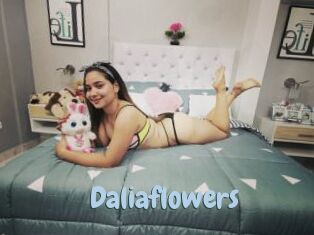 Daliaflowers