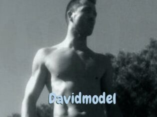 Davidmodel