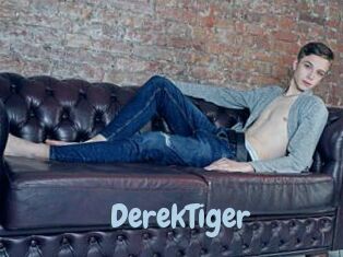 DerekTiger