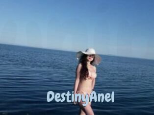 DestinyAnel