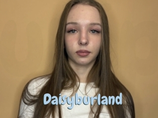 Daisyburland