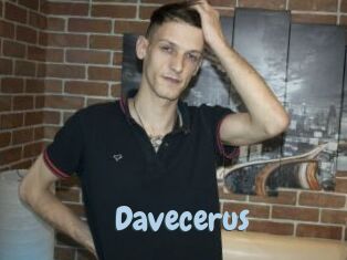 Davecerus