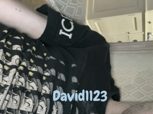 David1123