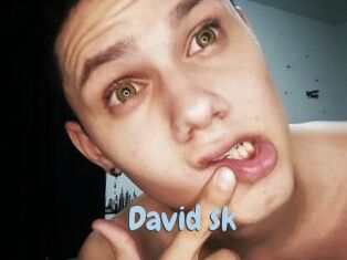 David_sk