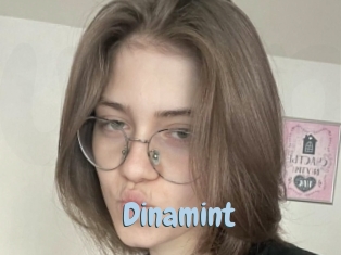 Dinamint