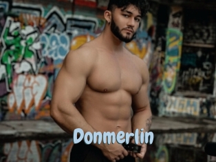 Donmerlin