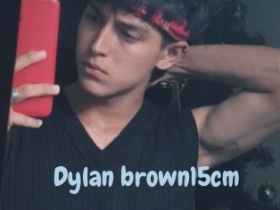 Dylan_brown15cm