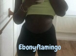 Ebony_flamingo