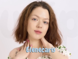 Elenecaris