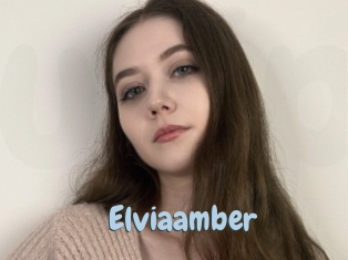 Elviaamber