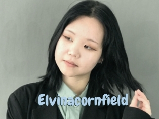 Elvinacornfield