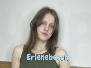 Erlenebeech