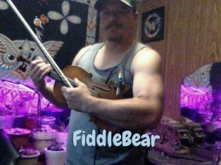 FiddleBear